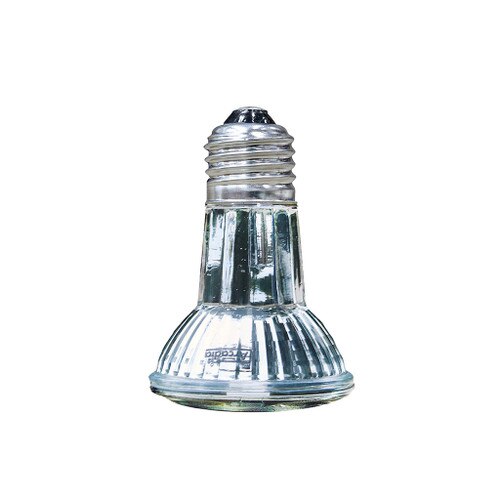 Arcadia Halogen Flood Lamp Bulb